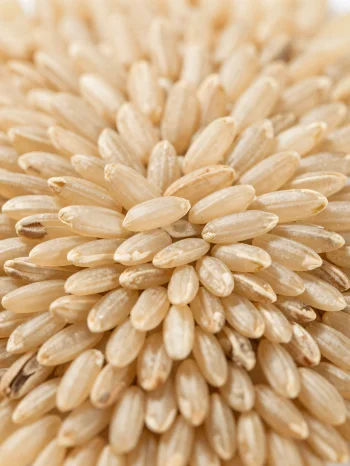 גרגרי אורז מלא גולמיים בקערה כפרית על משטח מטבח